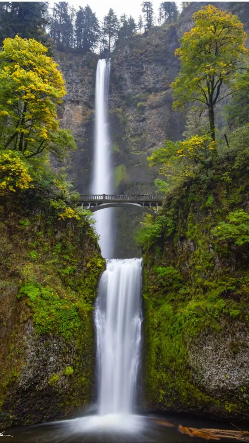 ai character: LOV captured  background