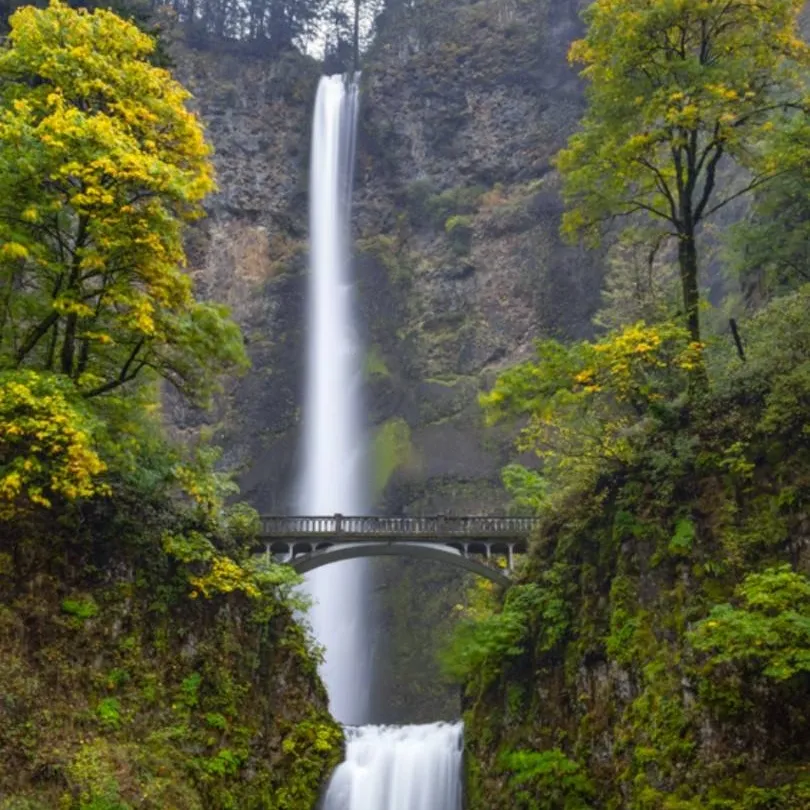 chat with ai character: LOV captured 