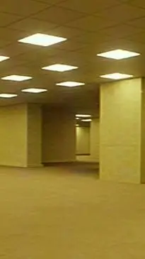 ai character: TADC in backrooms background