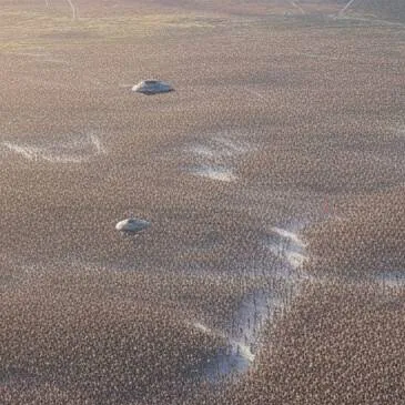 chat with ai character: 1B de personas