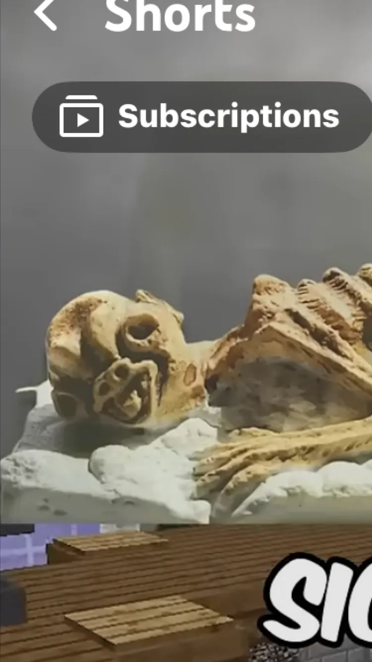 ai character: SCP 088 background