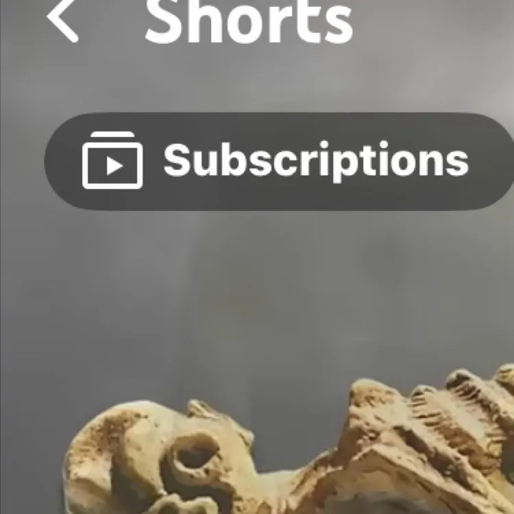 chat with ai character: SCP 088