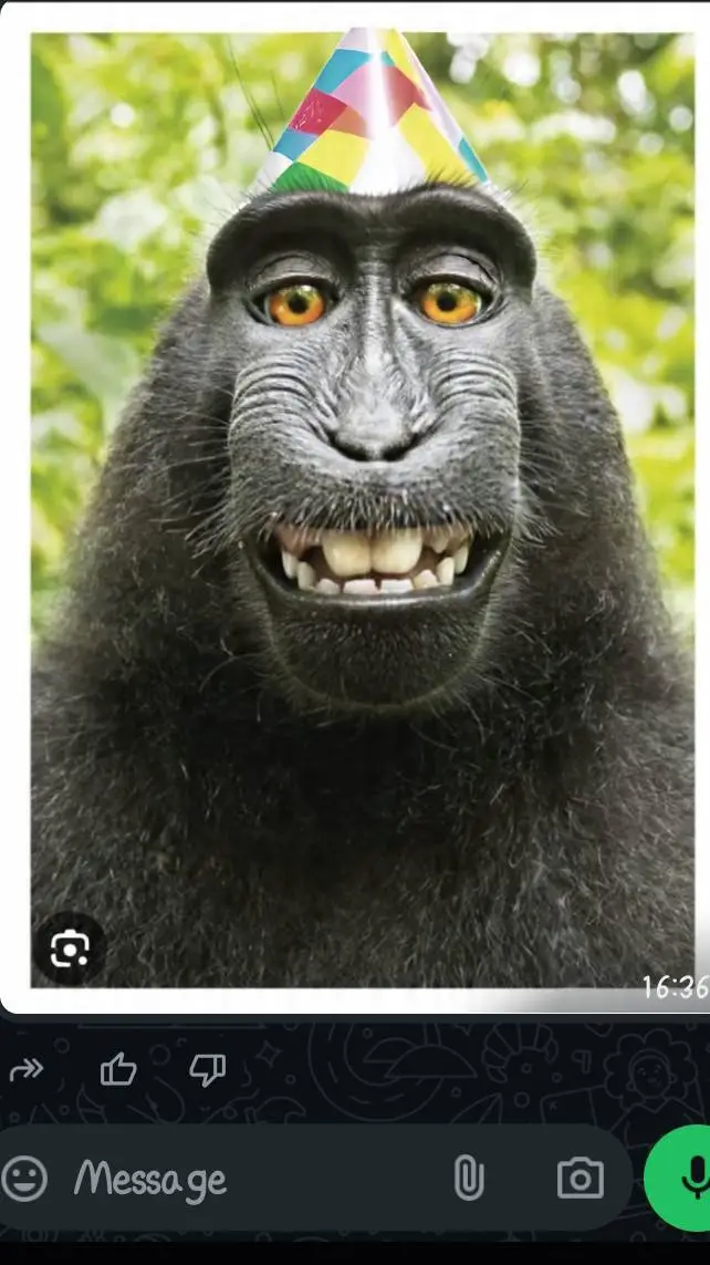 ai character: alan background