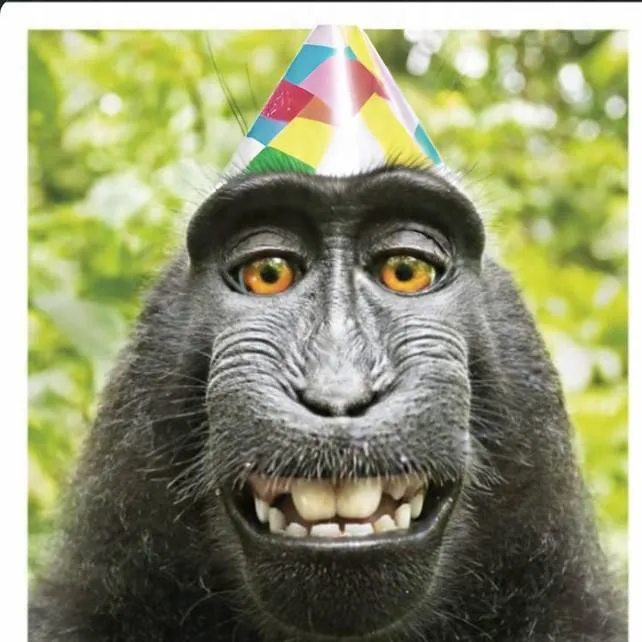 chat with ai character: alan