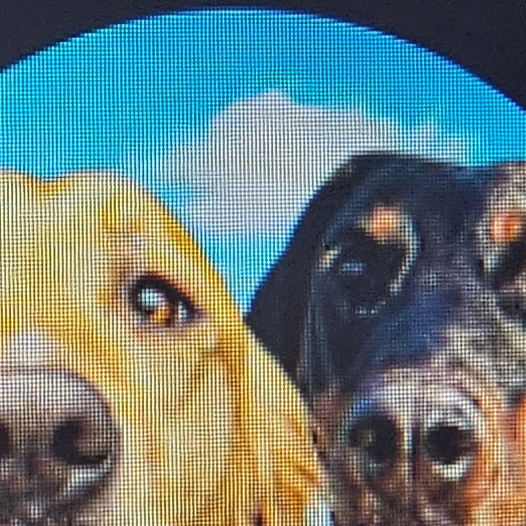 chat with ai character: thegoldenkobefam