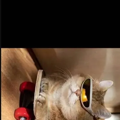 chat with ai character: Obsessive Moon!?