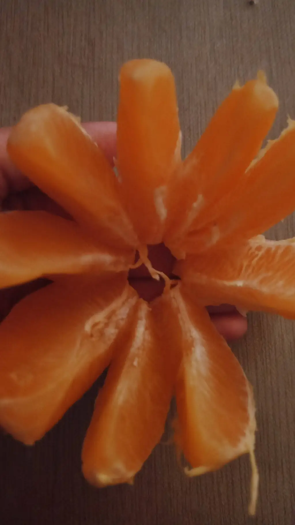 ai character: JANDEL is sick!? background