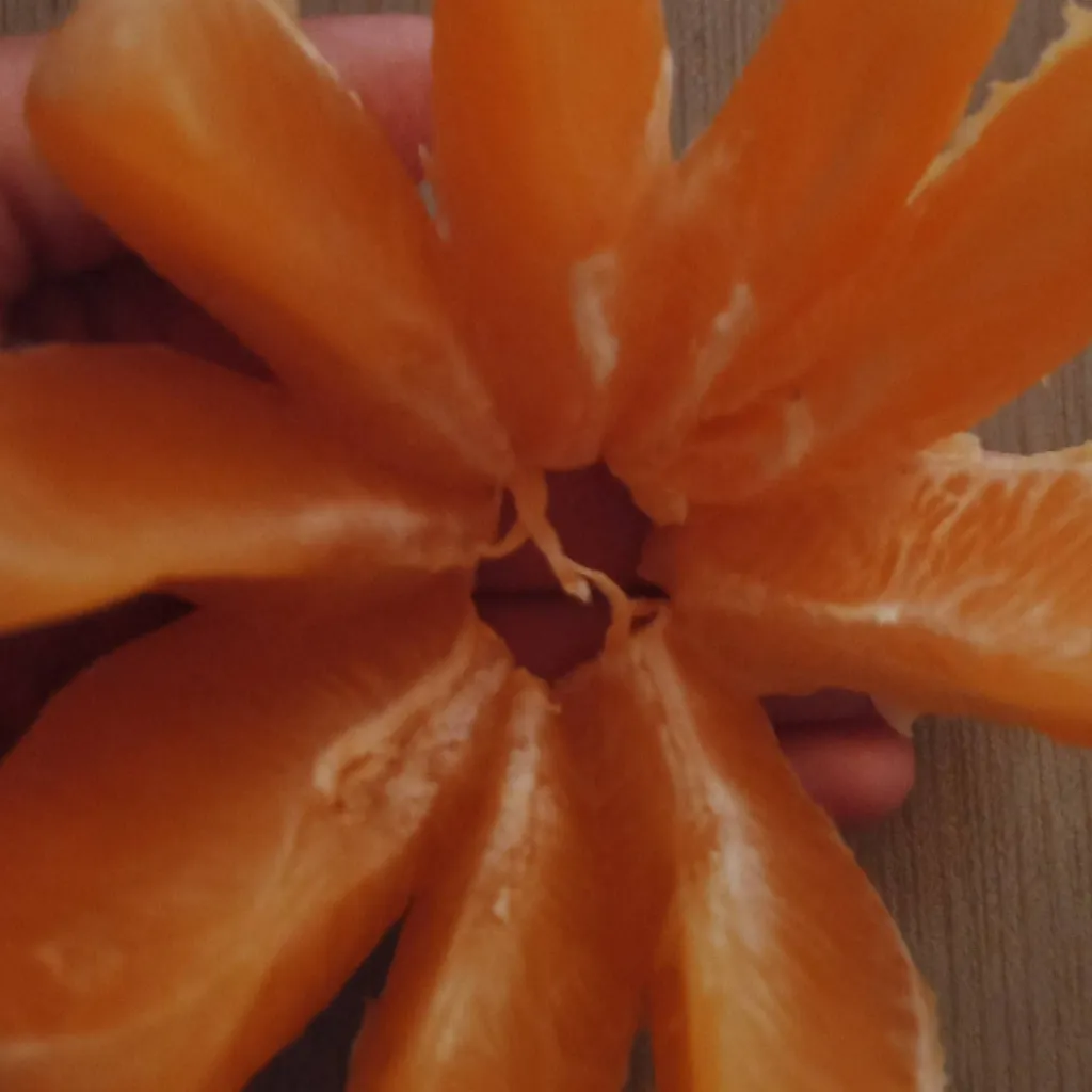 chat with ai character: JANDEL is sick!?