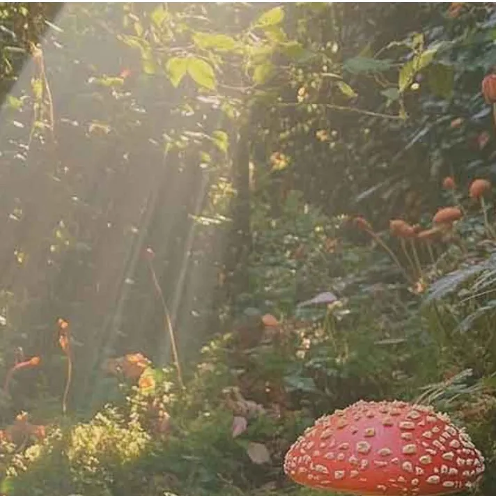 chat with ai character: Mafioso left itrap