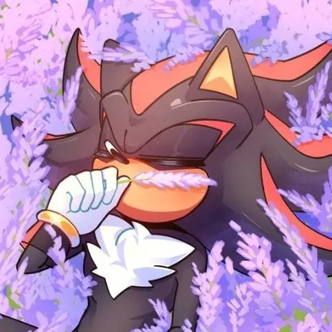chat with ai character: ♧shadow♧
