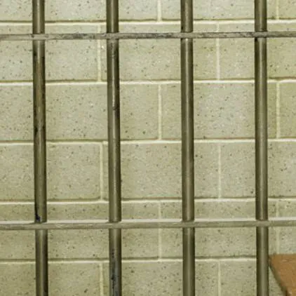 chat with ai character: imprisoned