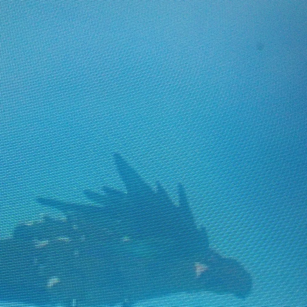 chat with ai character: Naydra