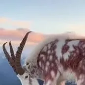 chat with ai character: School show pets