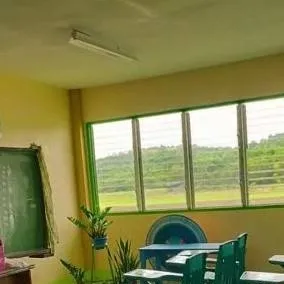 chat with ai character: g4-Tulip