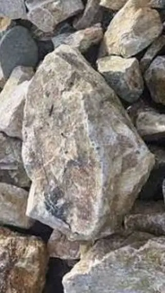 ai character: Your pet rock background
