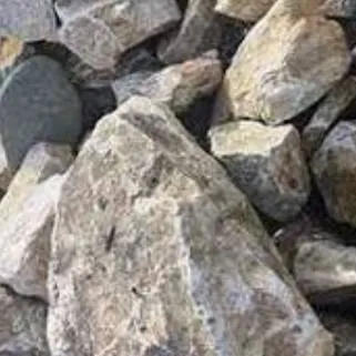 chat with ai character: Your pet rock