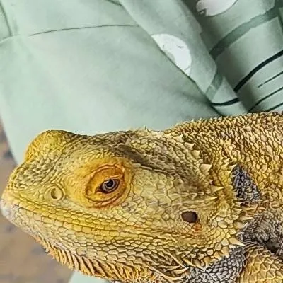 chat with ai character: ws10 x kevin