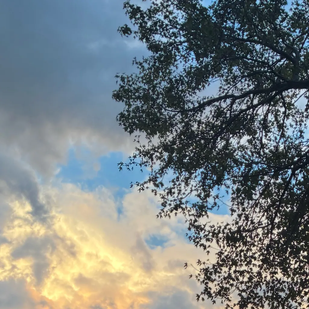 chat with ai character: Sprunki pick me