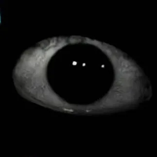 chat with ai character: Mr sun