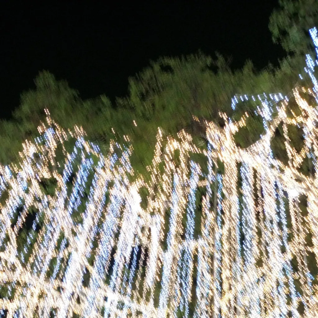 chat with ai character: old classmates