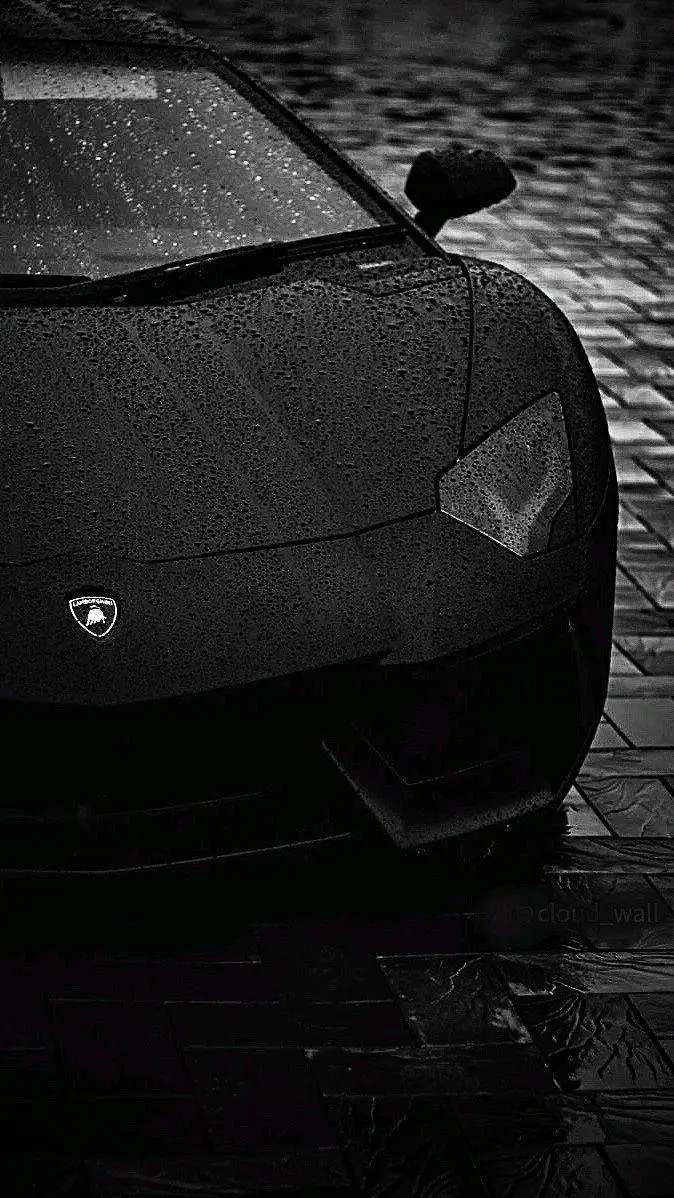 Talkie AI - Chat with 💗✨~•Jack•~✨💗