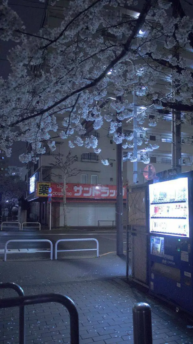 ai character: Yozakura Street 🌸 background