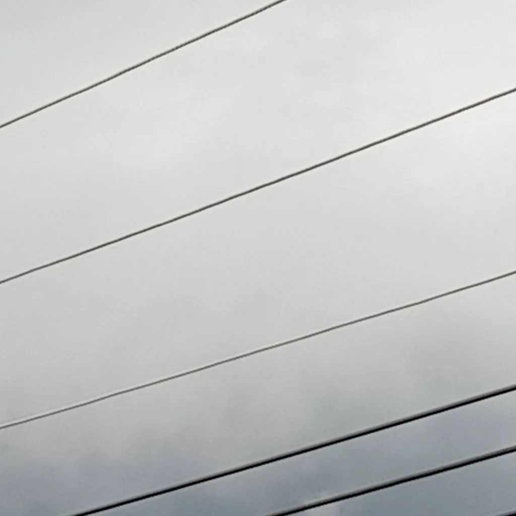 chat with ai character: MHA HATE LILY