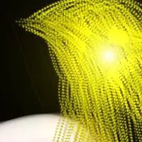 chat with ai character: MHA love tasya