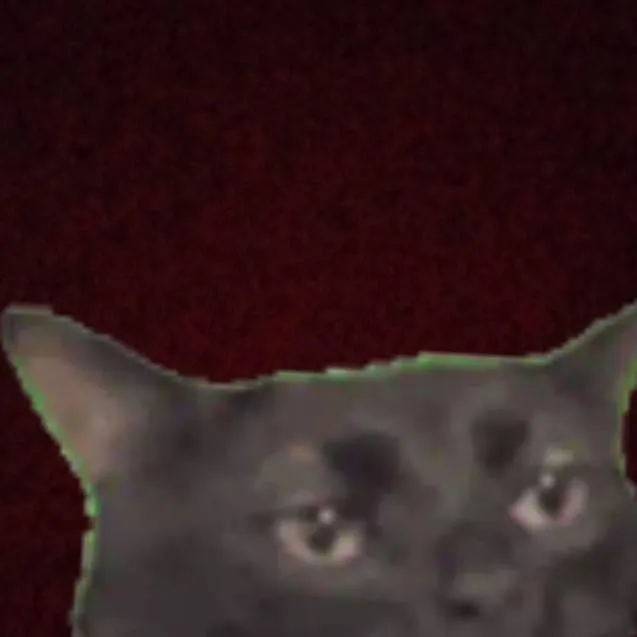 chat with ai character: MHA x you