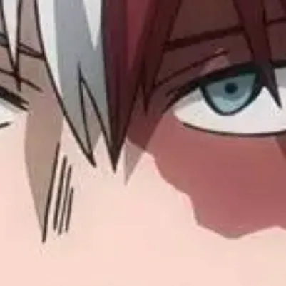 chat with ai character: MHA Shoto Todoroki