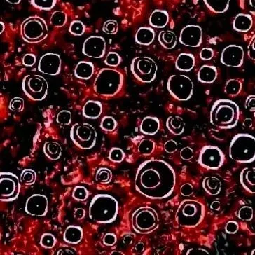 chat with ai character: YUBIN NIIKU 