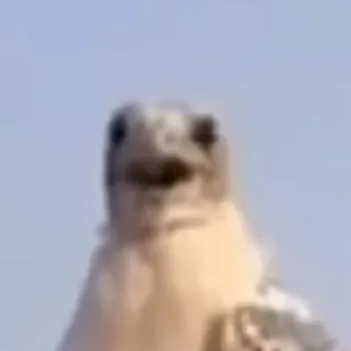 chat with ai character: |\|anami 🫦