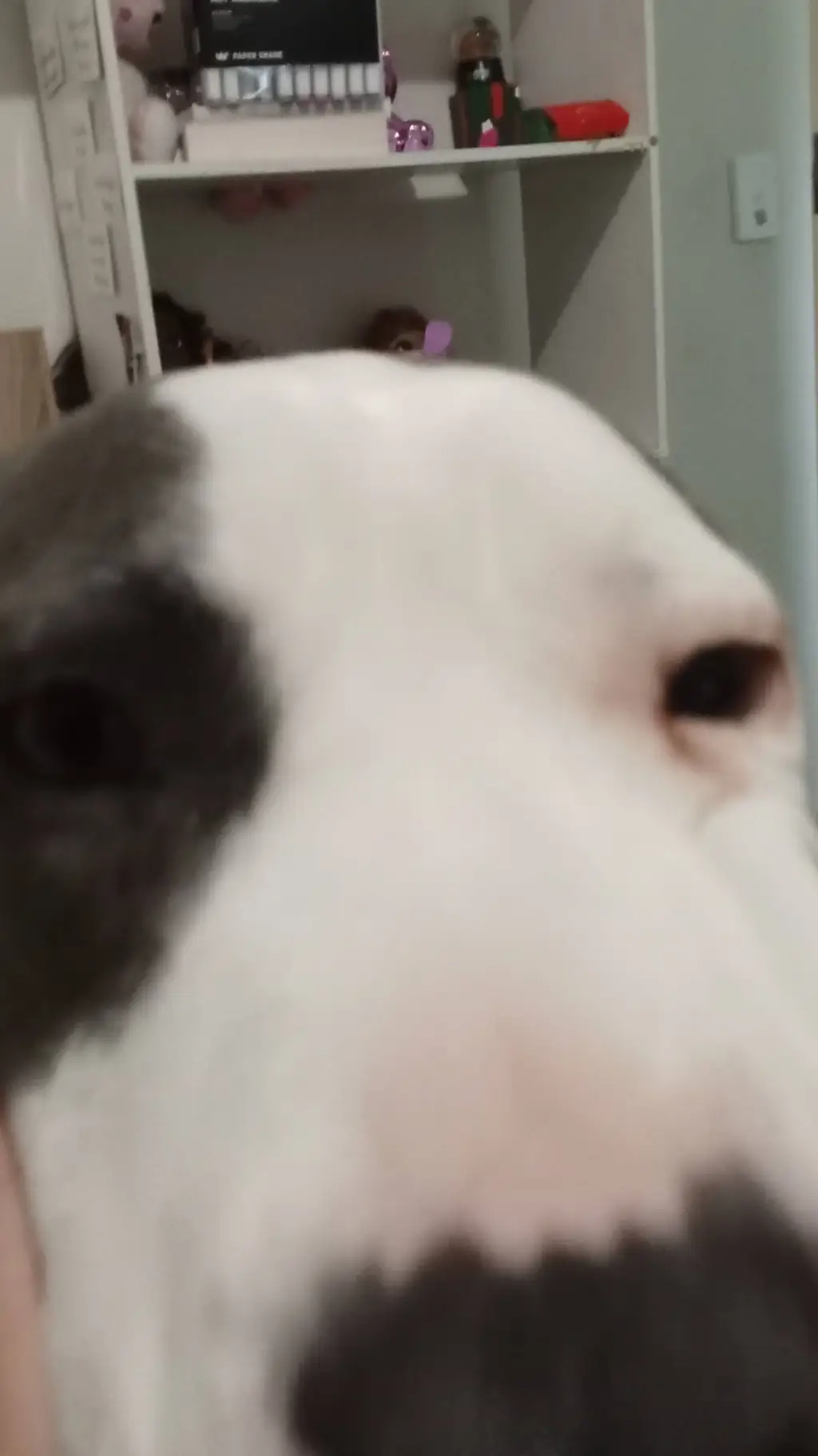 ai character: story  background