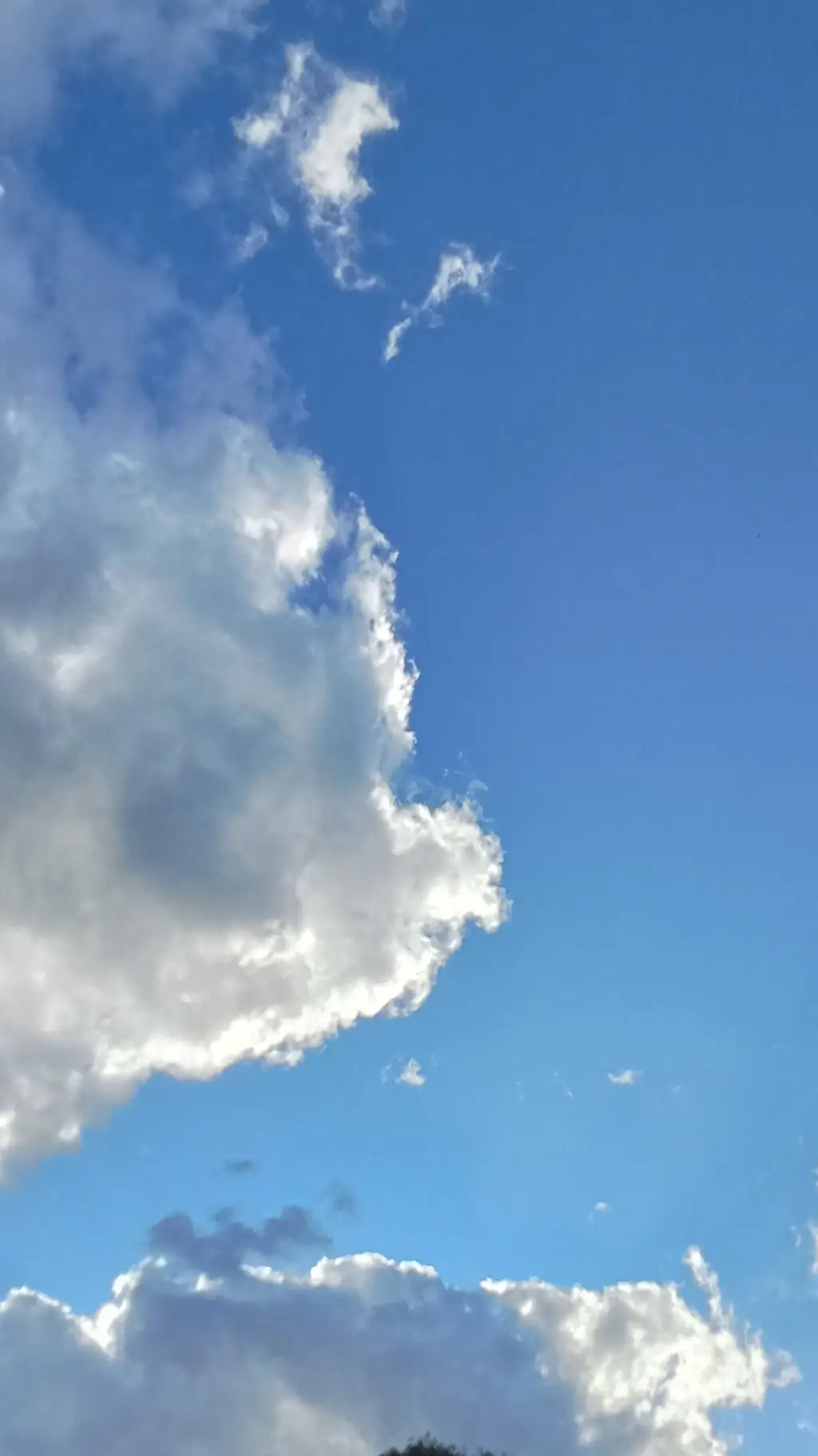 ai character: summer  background