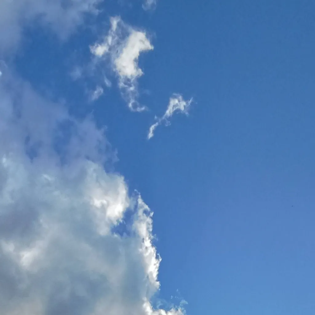 chat with ai character: summer 