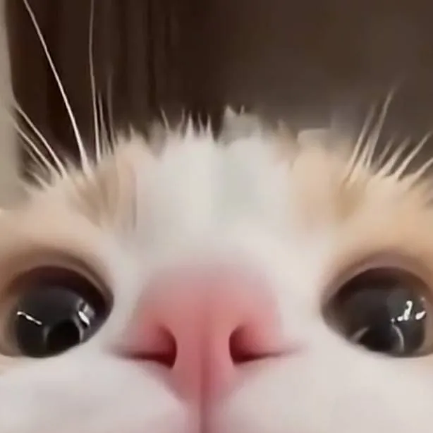 chat with ai character: Terrible Mouse