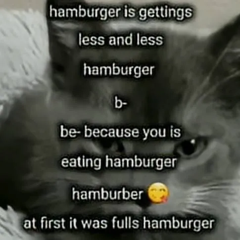 chat with ai character: cat