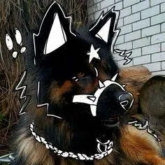 chat with ai character: Mha RANDOM S#@T