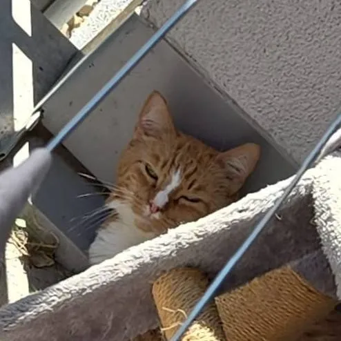 chat with ai character: Kny Ships pt.1