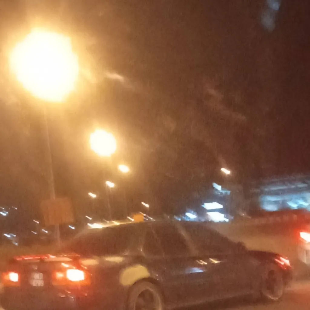 chat with ai character: Wheelie 