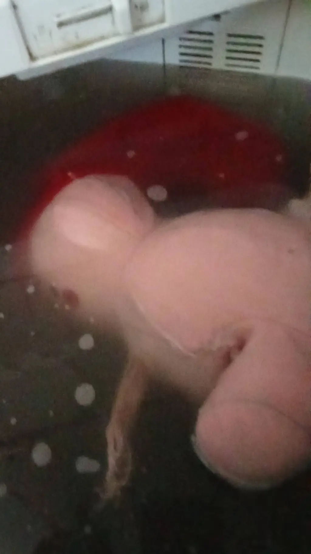 ai character: Nyam's bath time  background