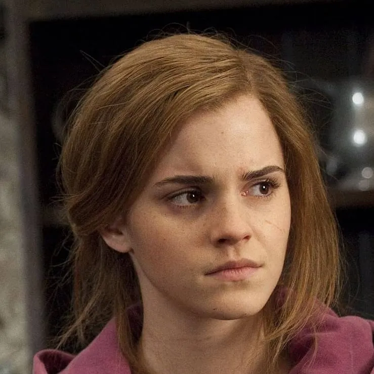 chat with ai character: Hermione Granger 