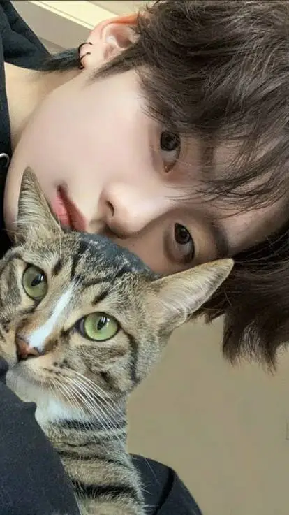 Talkie AI - Chat with 💥Lino💥