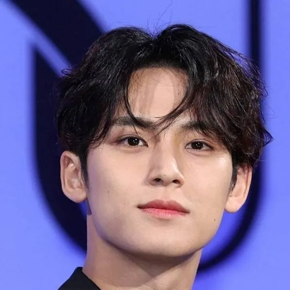 chat with ai character: Mingyu💋🦋