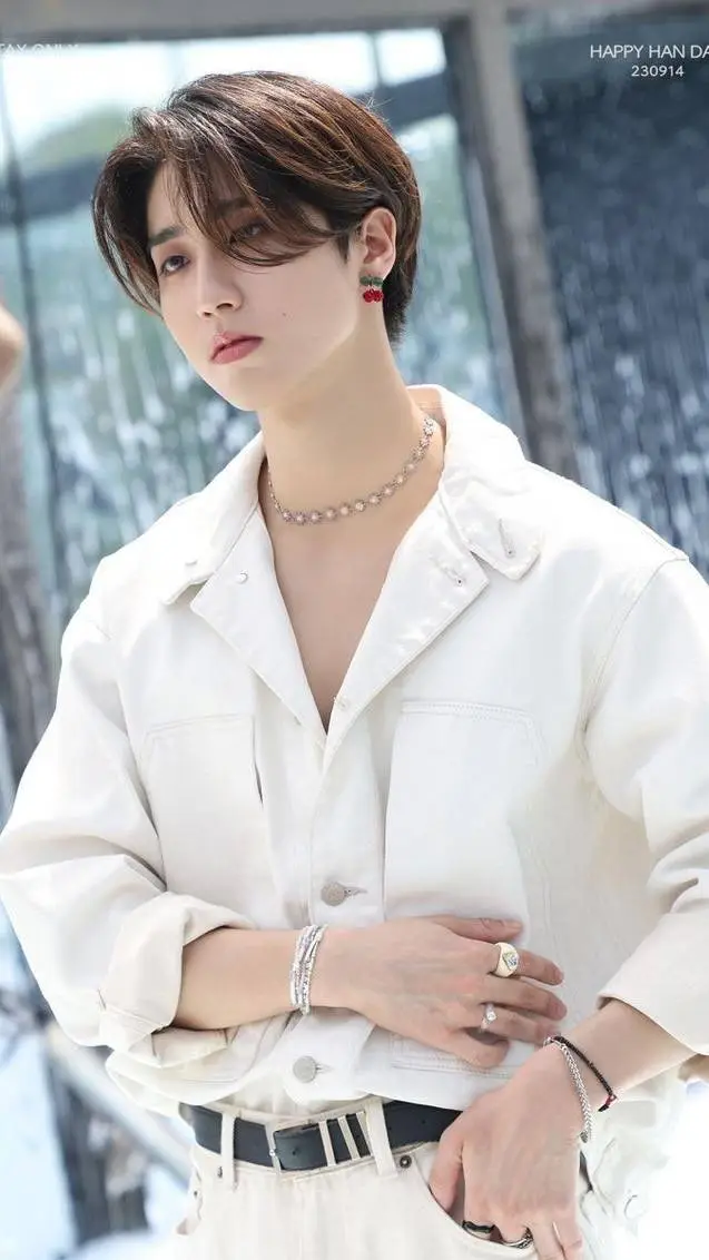 ai character: Han Jisung background