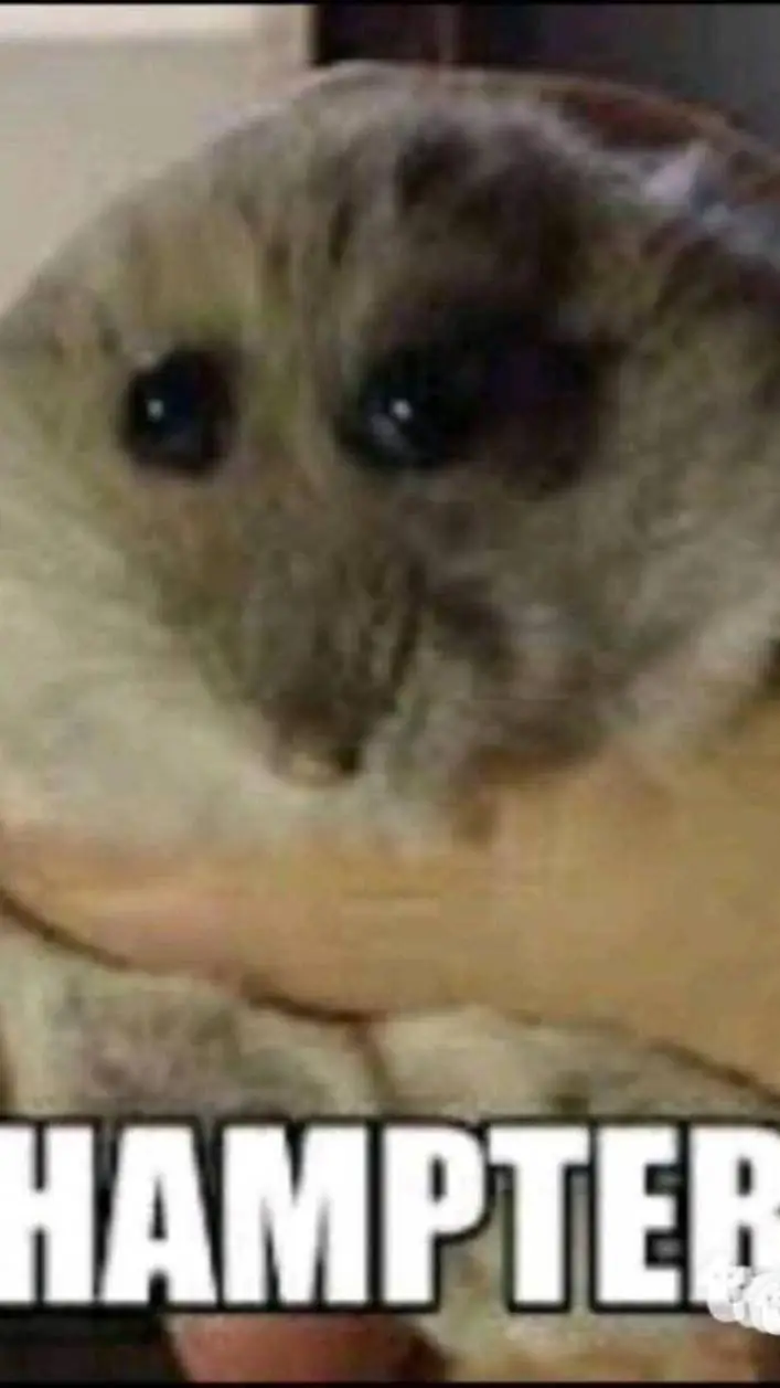 ai character: idk background