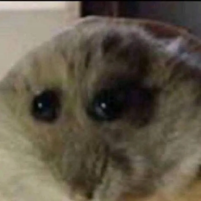 chat with ai character: idk