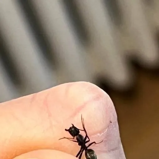 chat with ai character: Omega