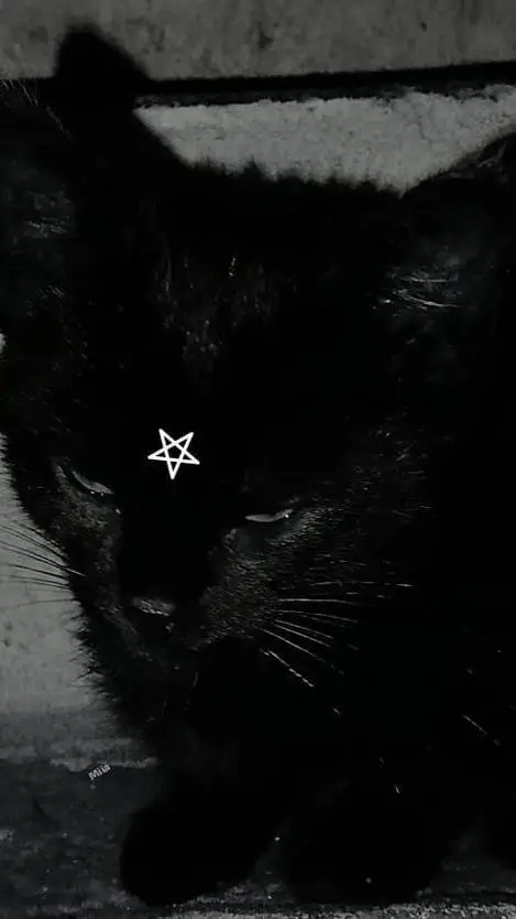 ai character: Kitty :3 background