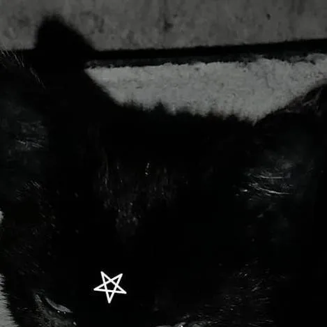 chat with ai character: Kitty :3